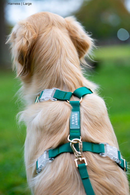 Meadow Green Cloud Lite Dog Harness