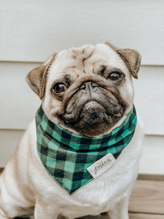 Green Plaid Bandana