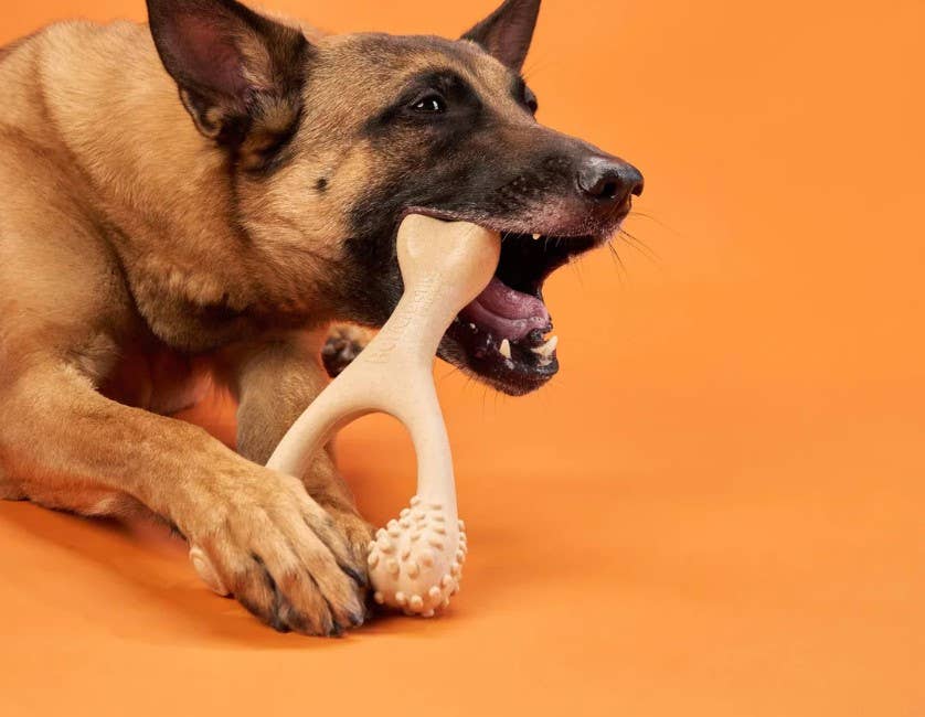 BetterBone Medium
