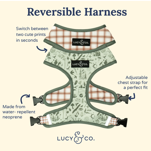 Camp Out Reversible Harness