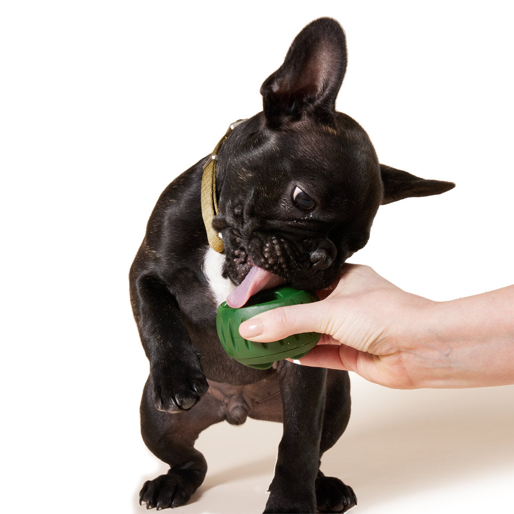 Pupsicle Treat Tray