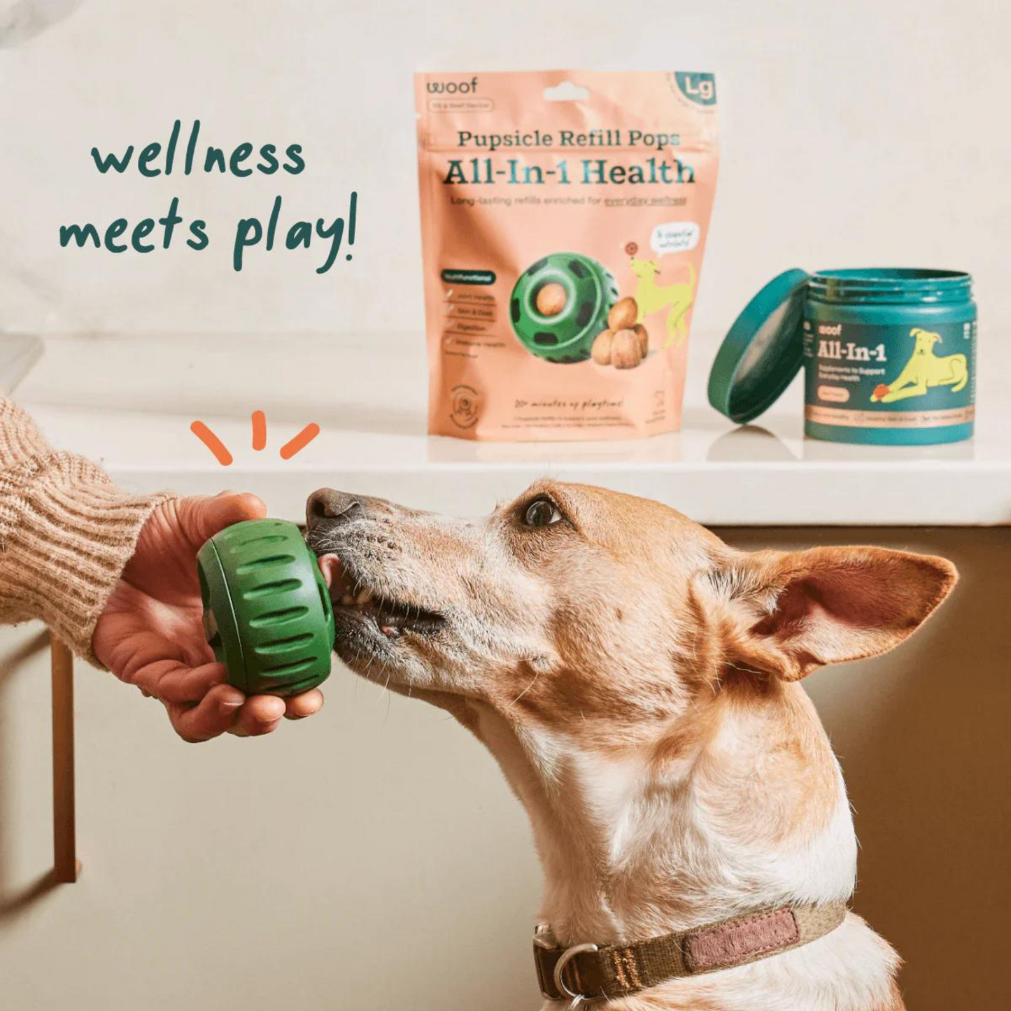 Pupsicle Pops - Wellness
