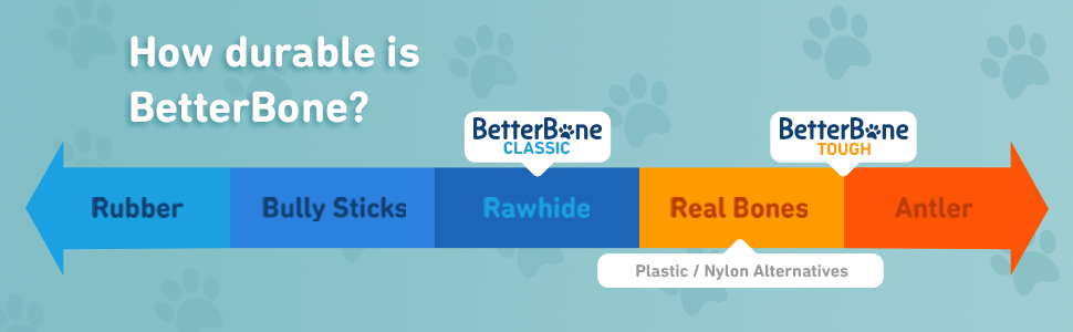 BetterBone Classic