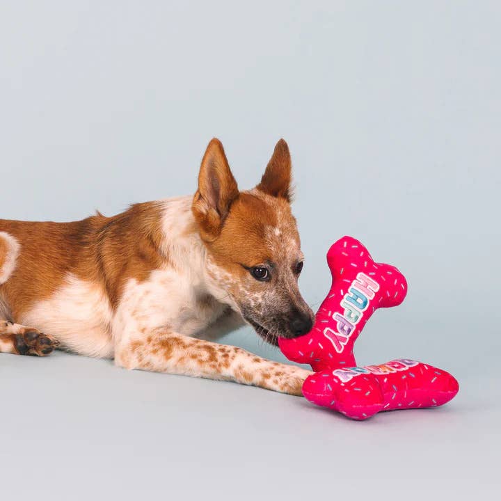 It's My Barkday Plush Dog Toy