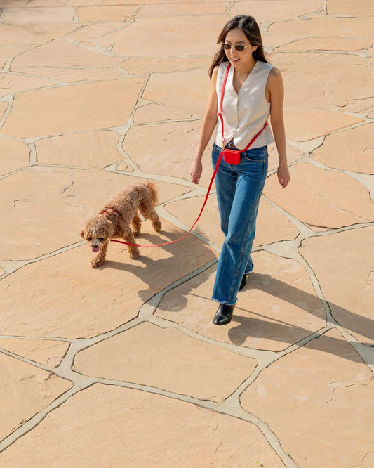 Cherry Red Cloud Lite Dog Harness