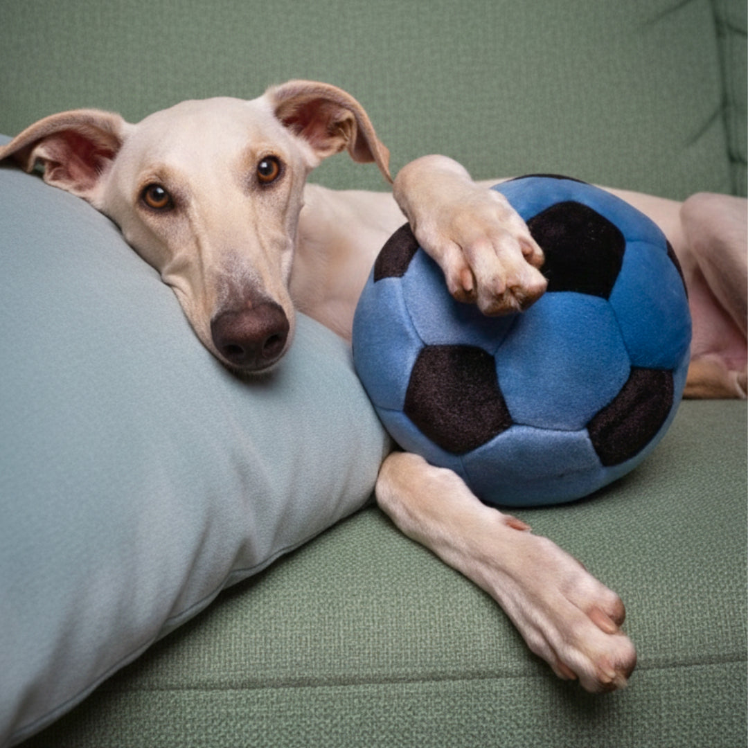 Fluff & Tuff: Soccer Ball