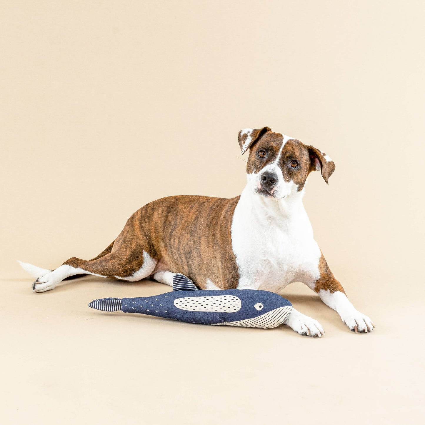 Whale Canvas Dog Toy