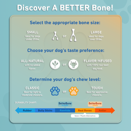 BetterBone Classic