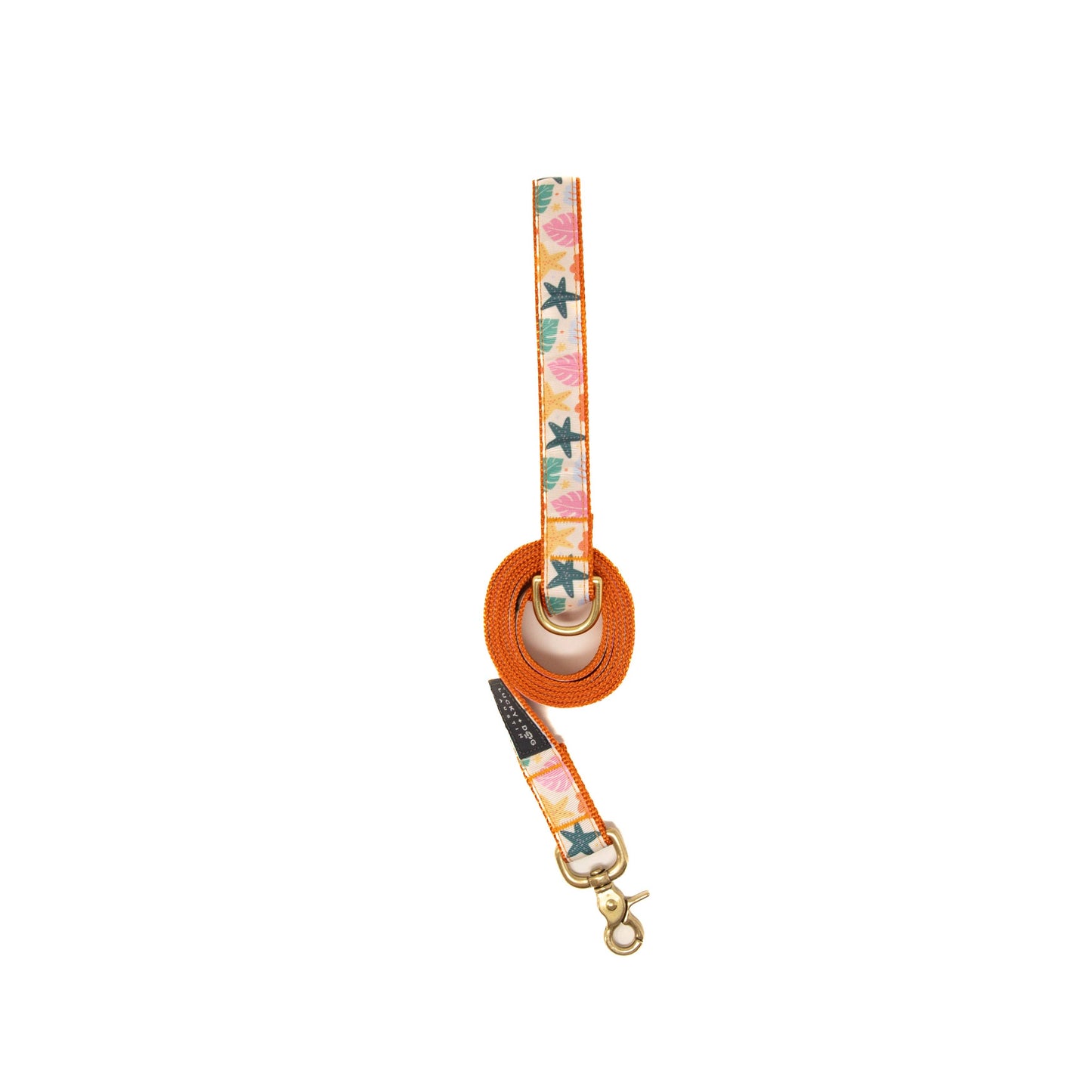 Island Bloom Dog Collar