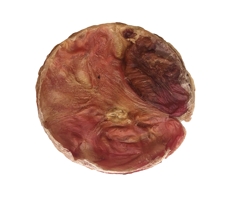 Furs-bee® Beef Bladder