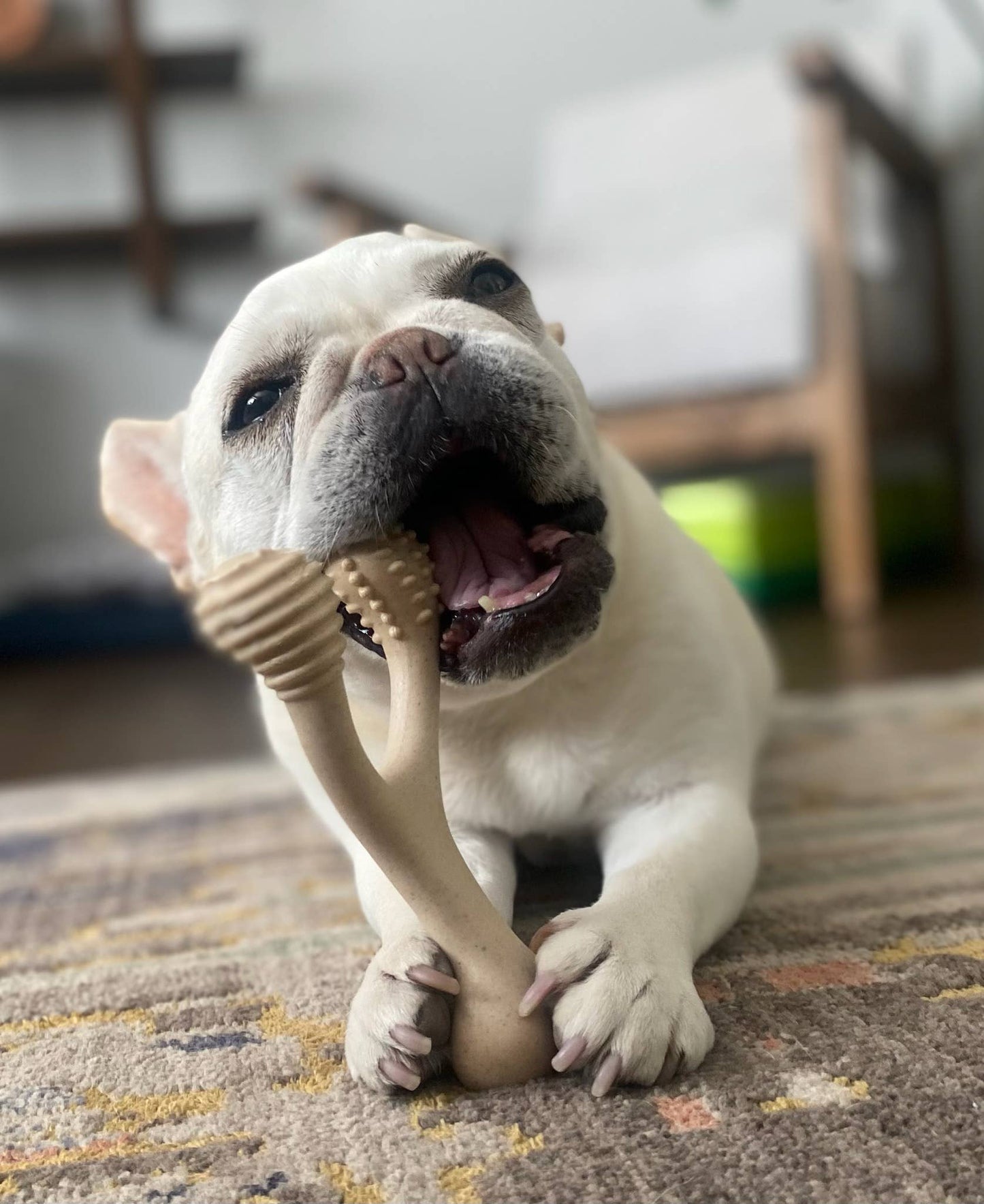 BetterBone Tough