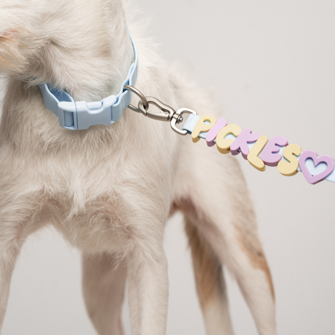 Mixed Dog Charms + Charm Bar
