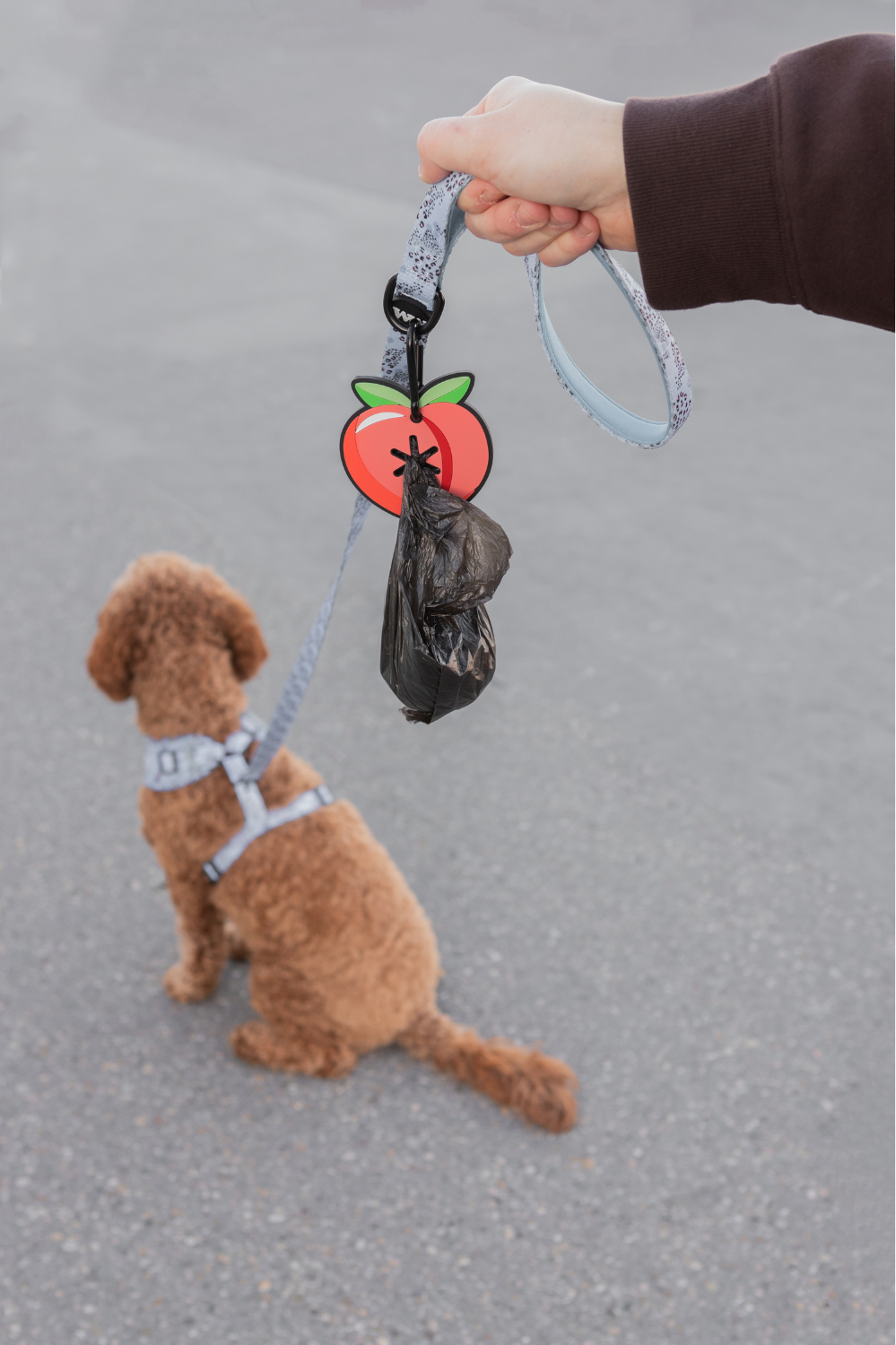 TIKTOK VIRAL: Peach Poopy Loop Dog Waste Bag Holder