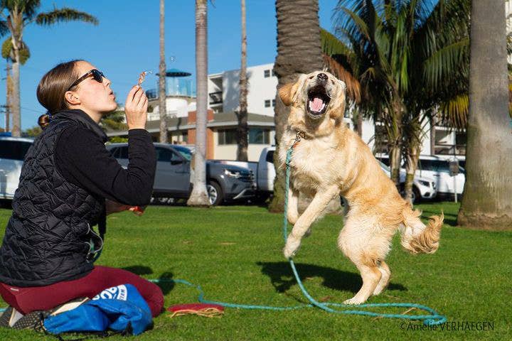Peanut Butter Bubbles