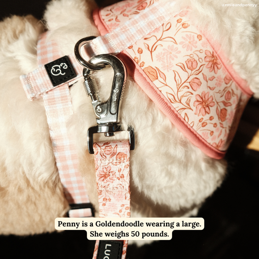 Woodland Wildflowers Leash