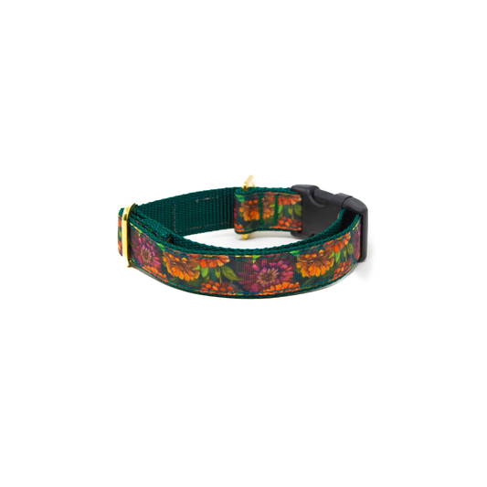 Zinnia Zest Dog Collar