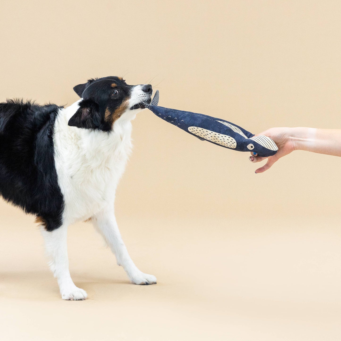 Whale Canvas Dog Toy