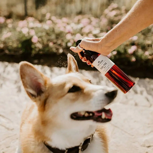 Natural Flea & Tick Spray For Dogs