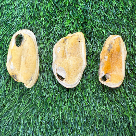 New Zealand Green-Lipped Mussel