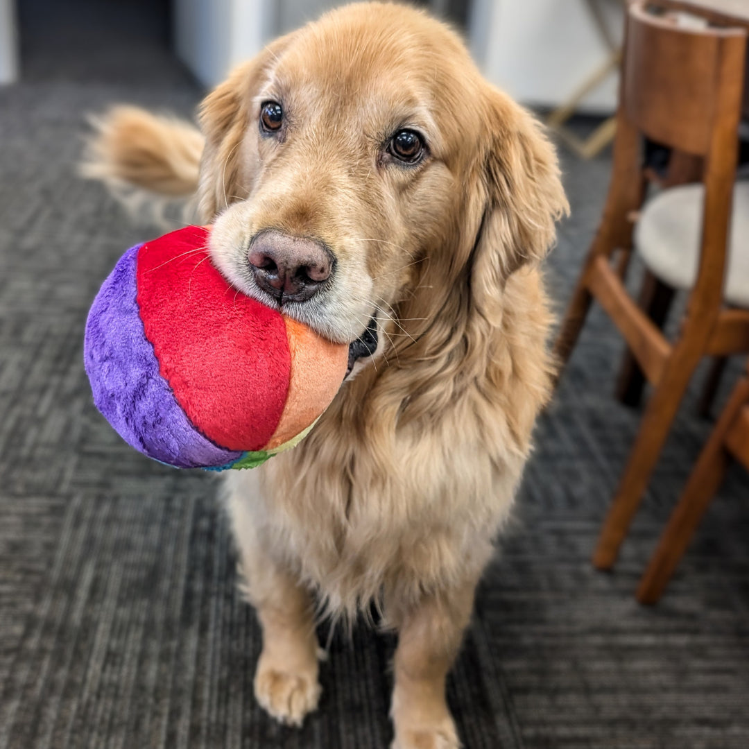 Fluff & Tuff: Mini Beach Ball