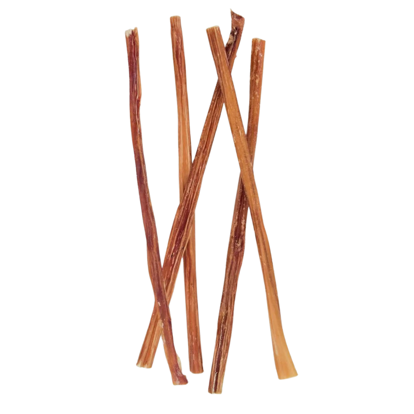 12" Bully Stick