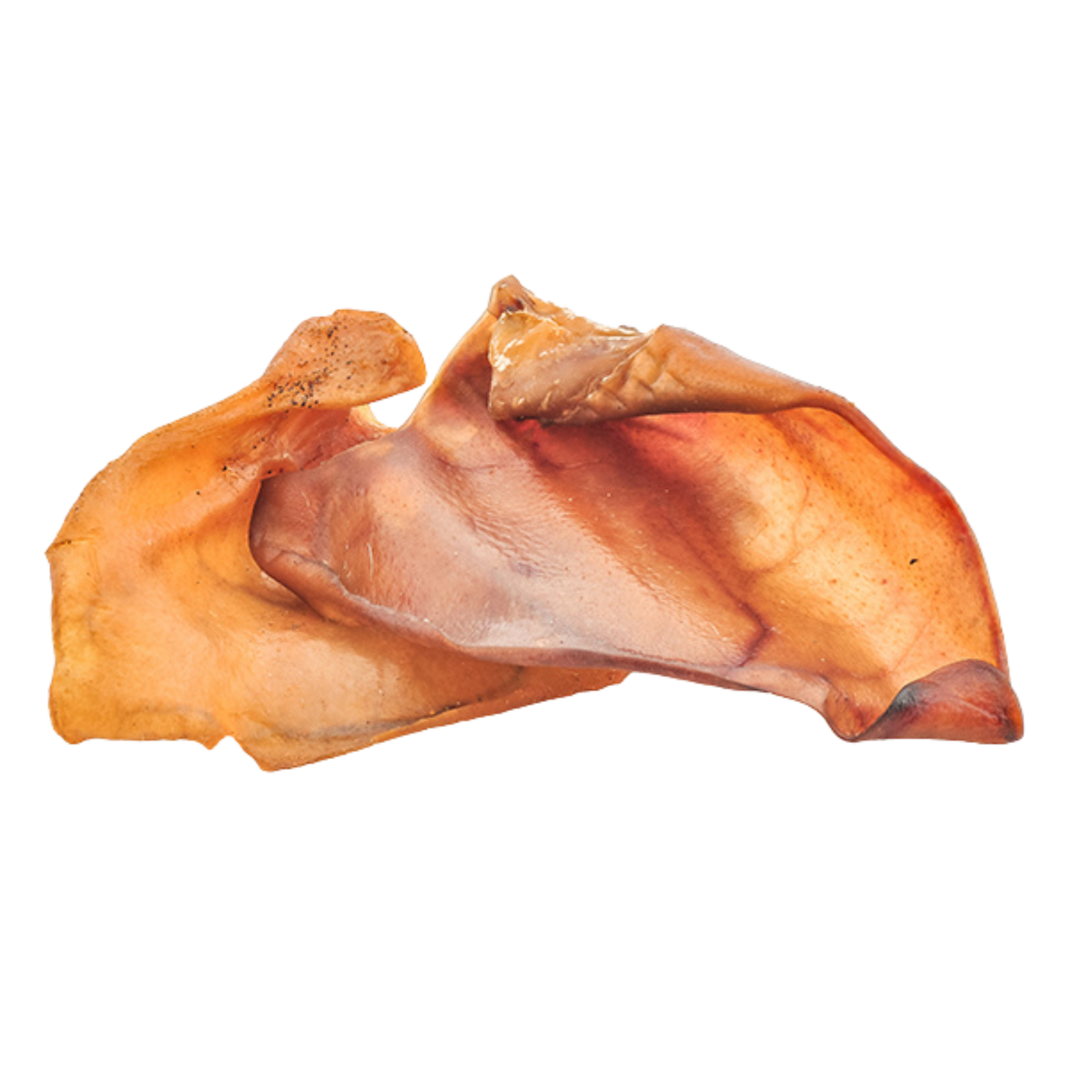 Pig Ear