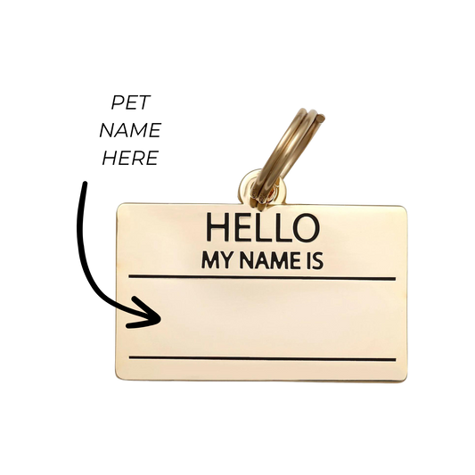 Hello My Name is Pet ID Tag
