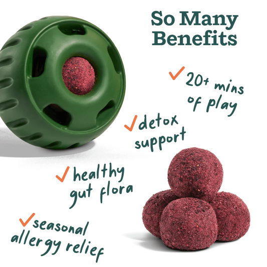 Pupsicle Pops - Allergy & Immunity