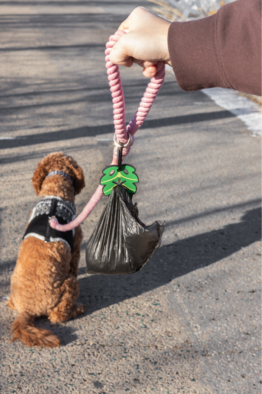 Monstera Leaf Poopy Loop Dog Waste Bag Holder