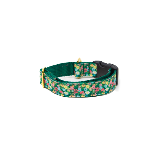 Petal Pop Dog Collar