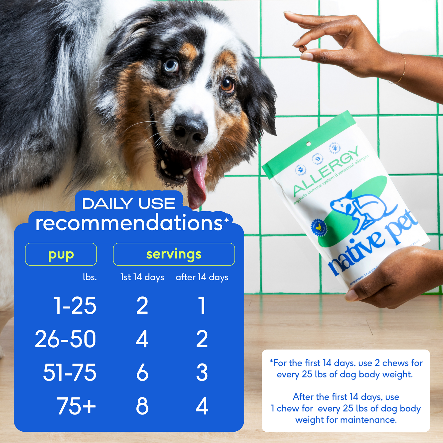 Allergy Chews