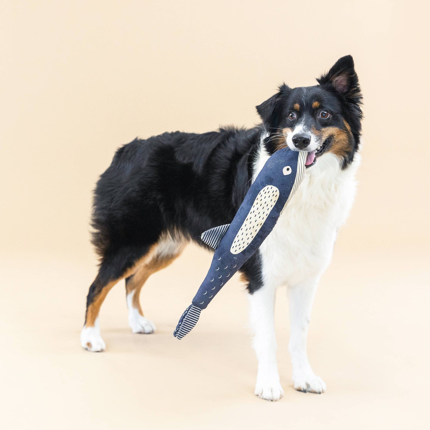 Whale Canvas Dog Toy