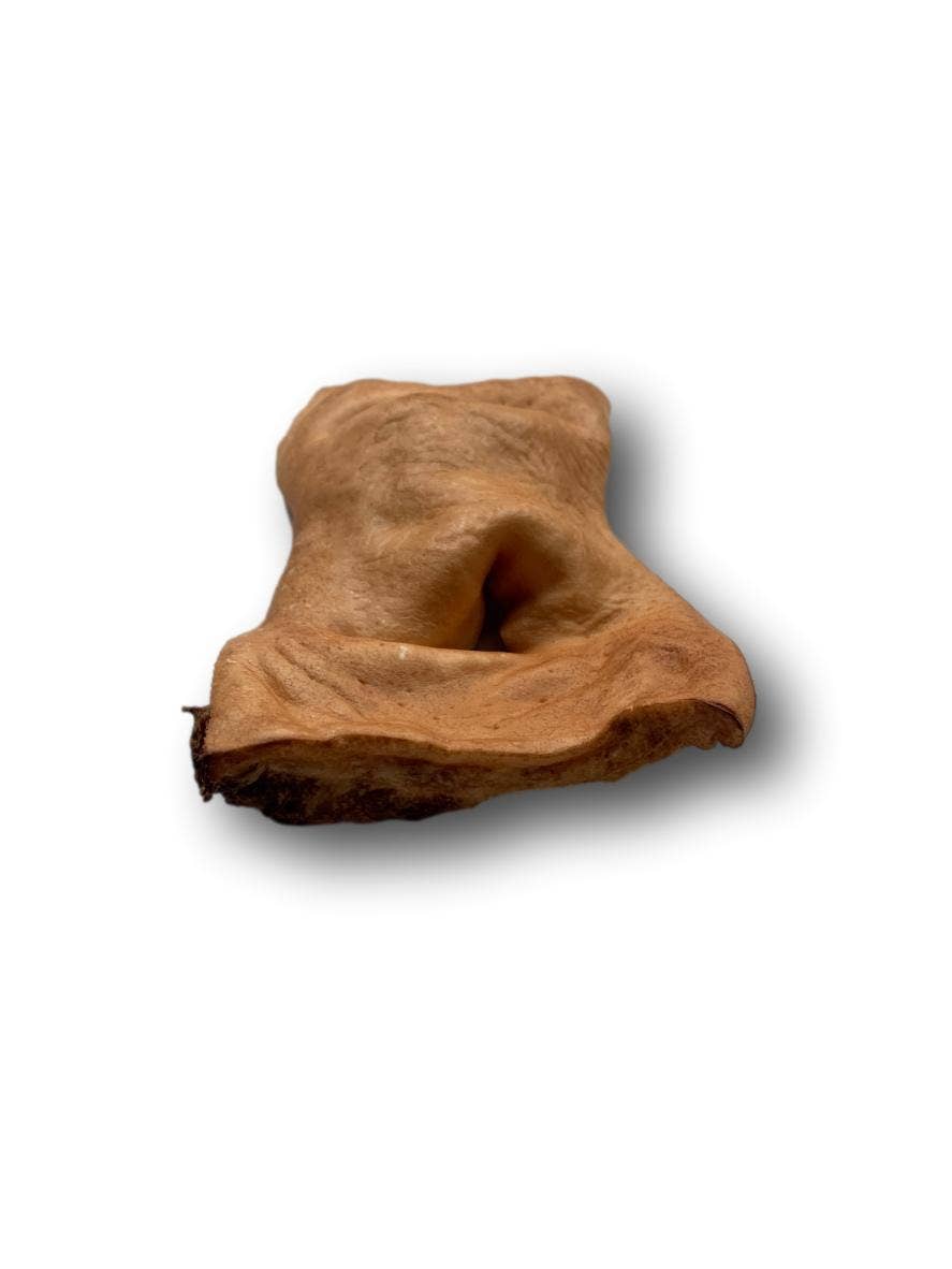 Beef Snout