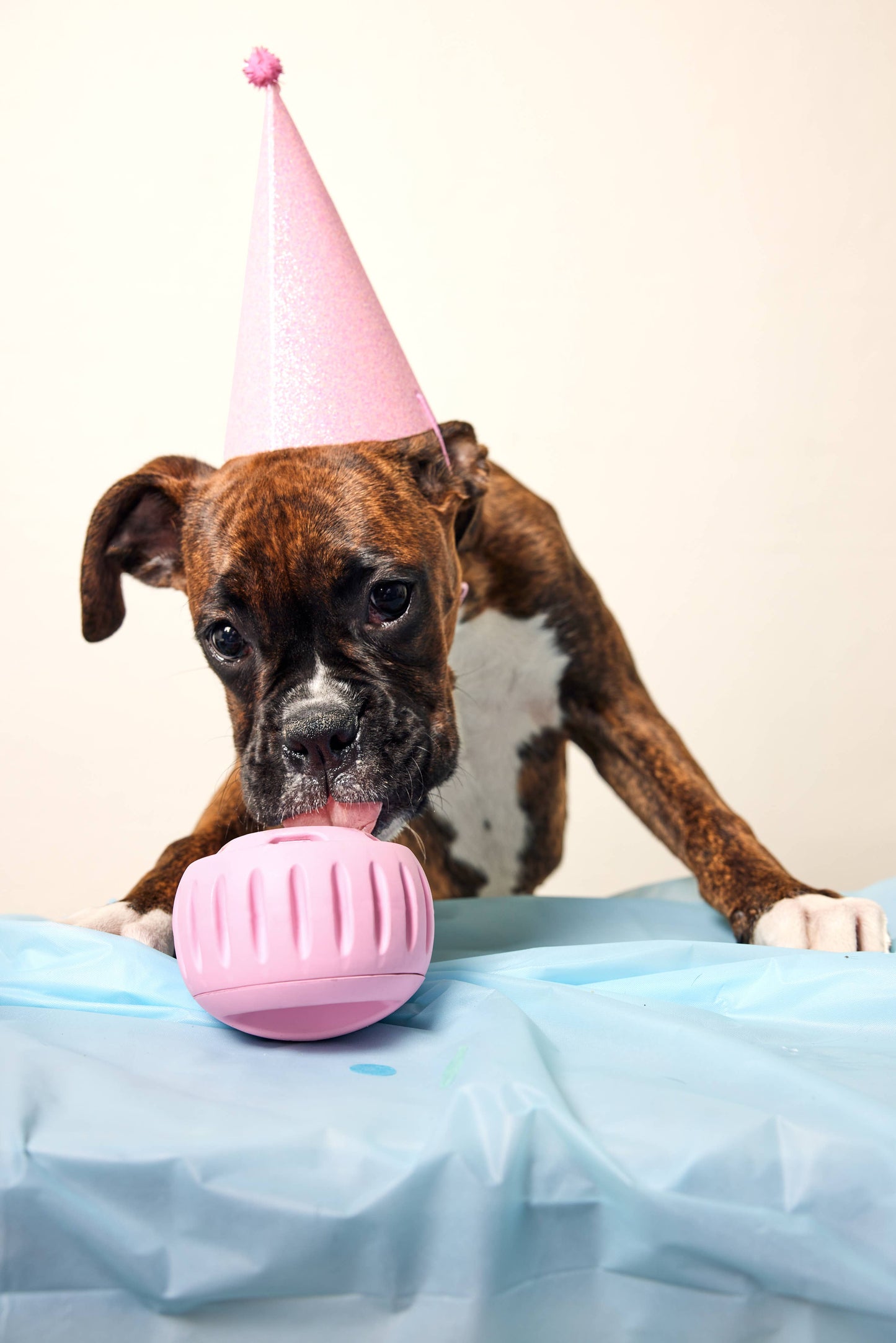 Pupsicle Toy - Pink