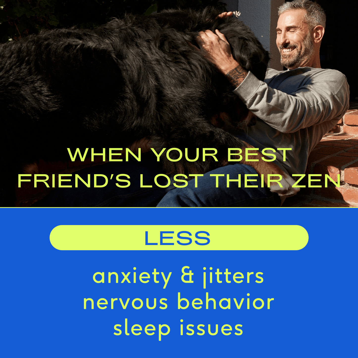 Calm Chews