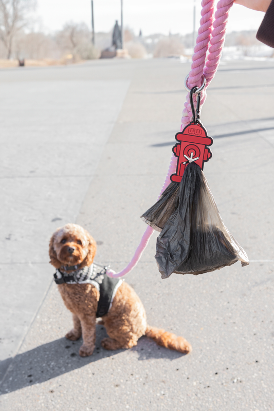 Fire Hydrant Poopy Loop Dog Waste Bag Holder