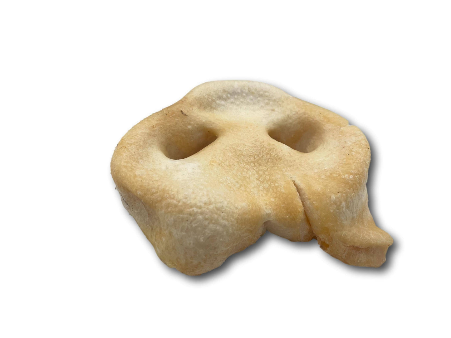 Pig Snout