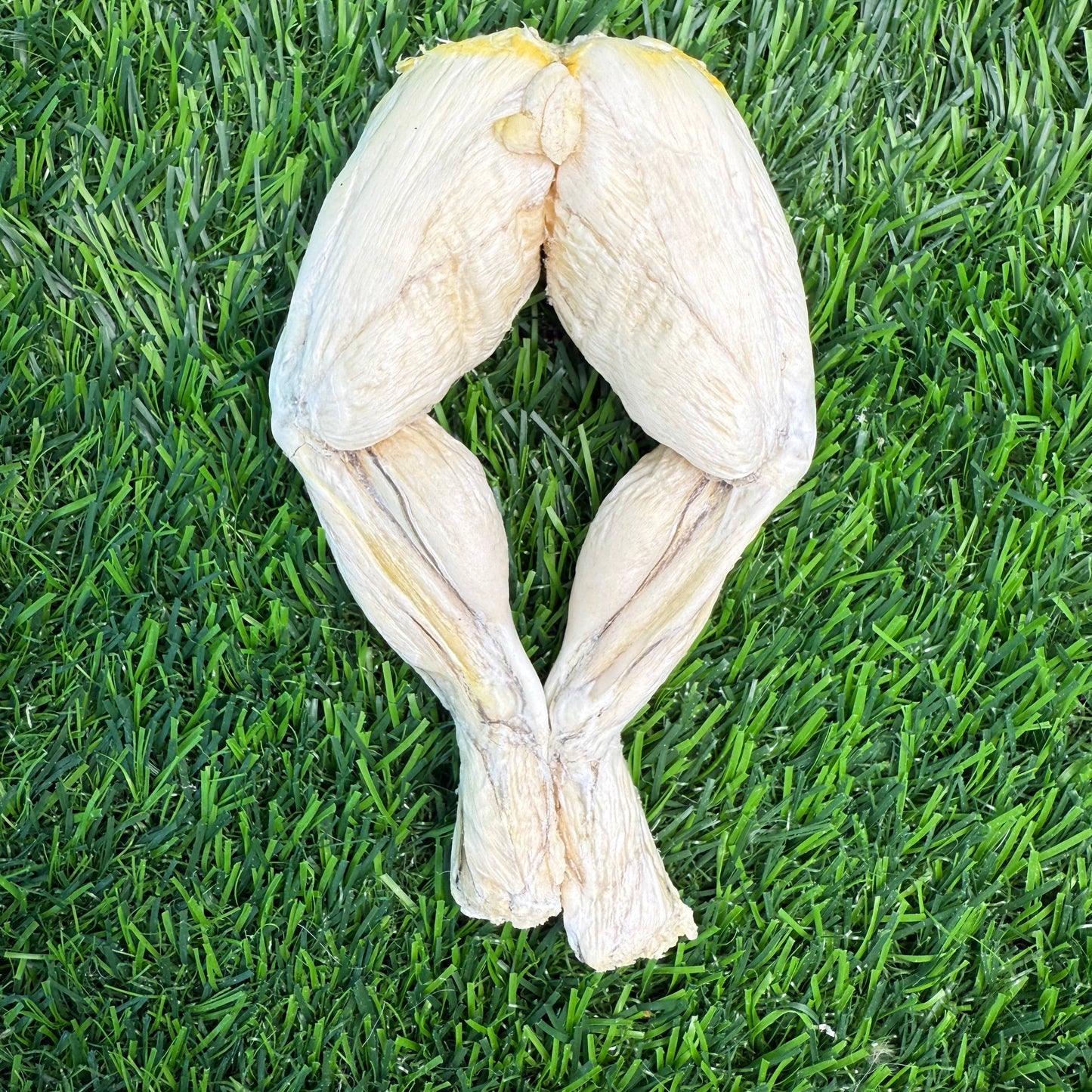 Frog Leg - Bag of 4