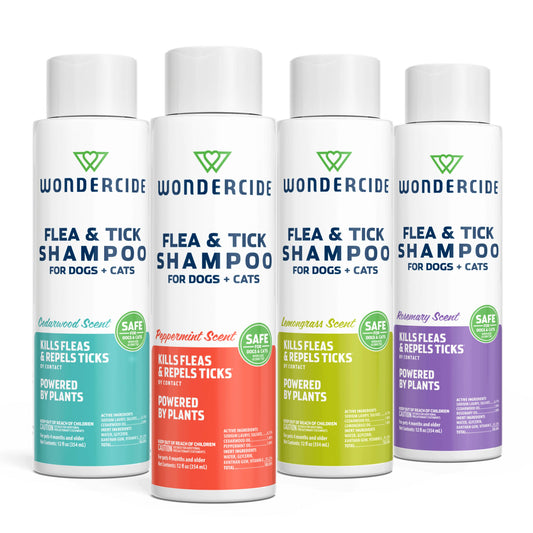 Flea & Tick Shampoo Cedarwood 12 oz