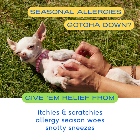 Allergy Chews: 30ct