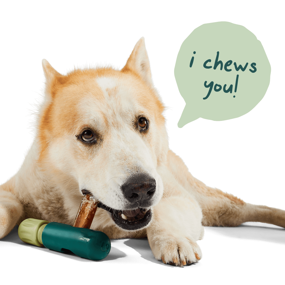 BullySafe Chews / 6-inch