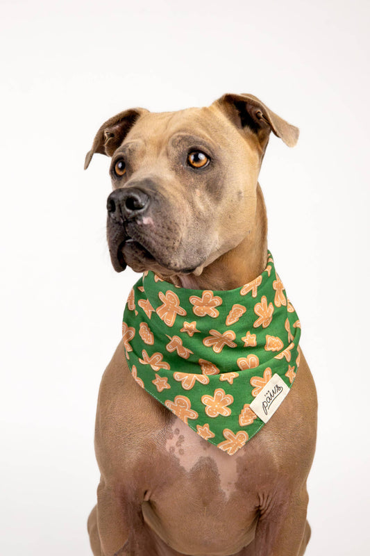 Green Gingerbread Bandana