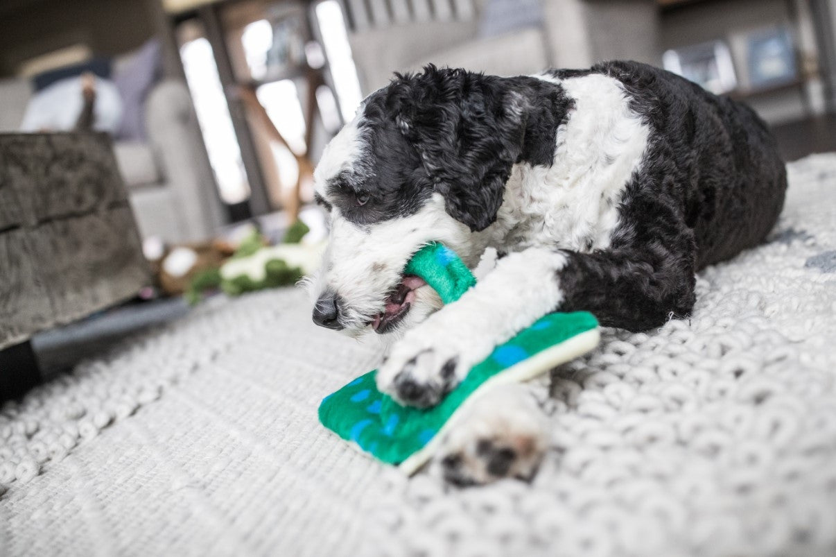 Fluff & Tuff: Gordon Stingray