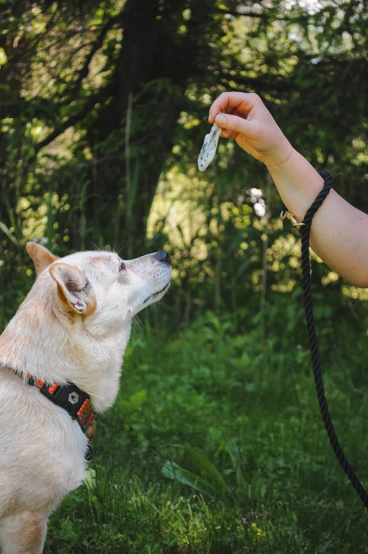 Little Trout, Freeze-Dried Whole Trout Pet Treats