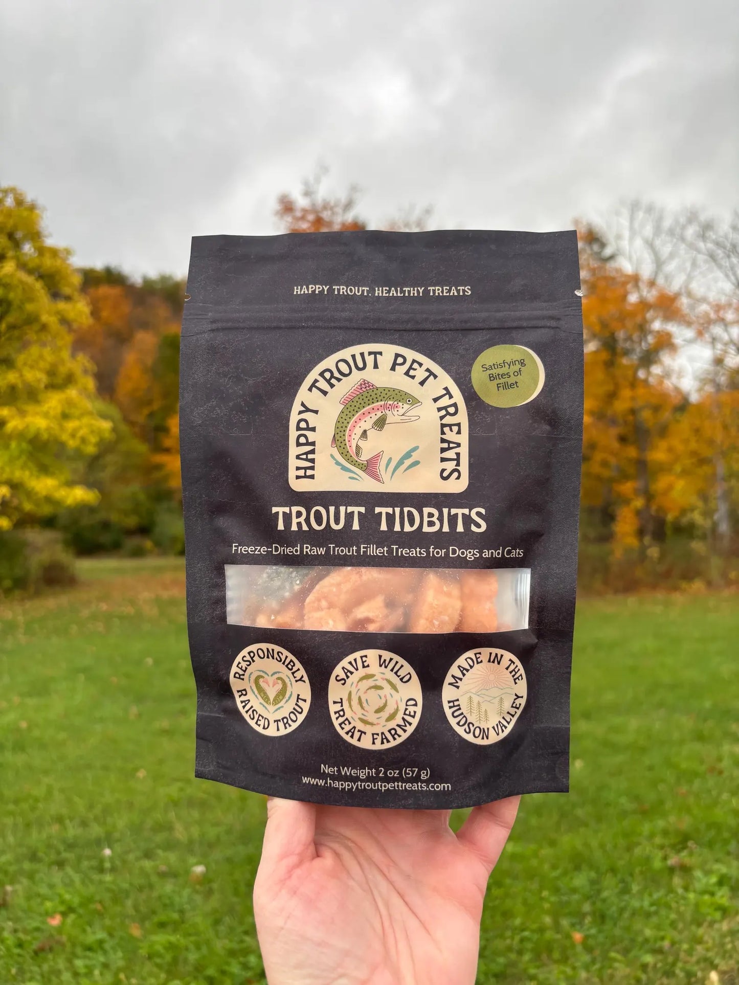 Trout Tidbits, Freeze-Dried Trout Fillet Pieces Pet Treats