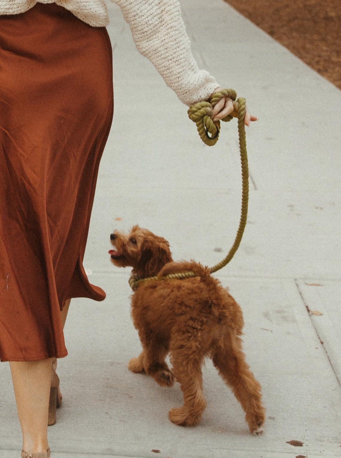 Olive Rope Leash