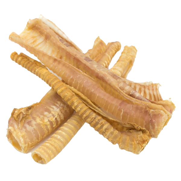 12" Beef Trachea
