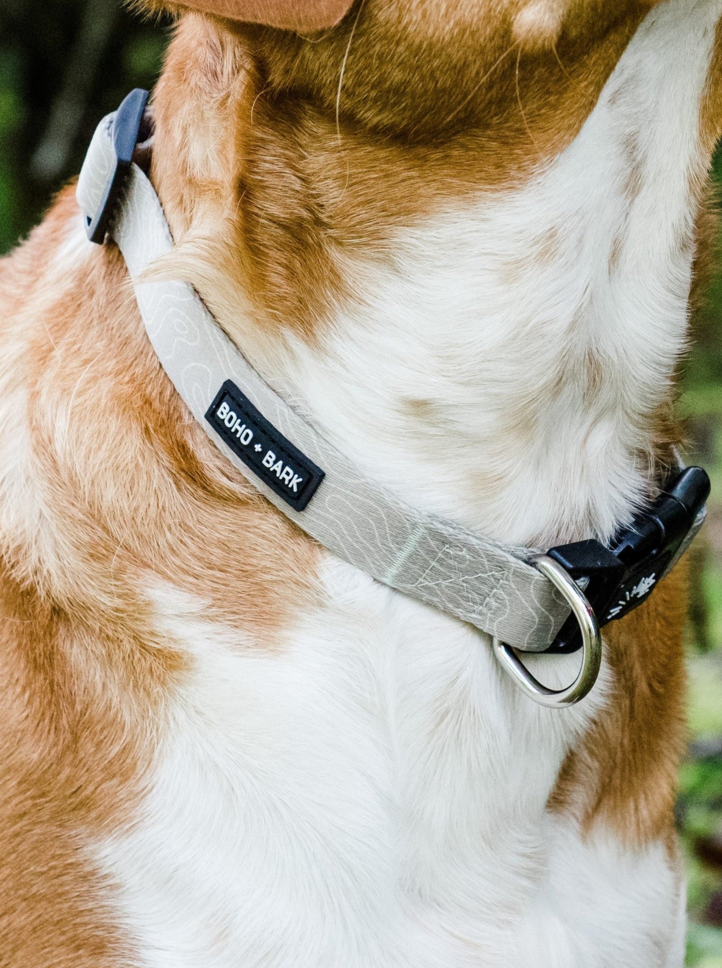 Topo Collar