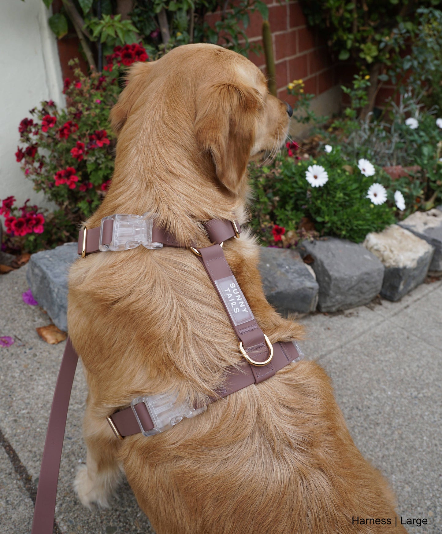 Espresso Brown Cloud Lite Dog Harness