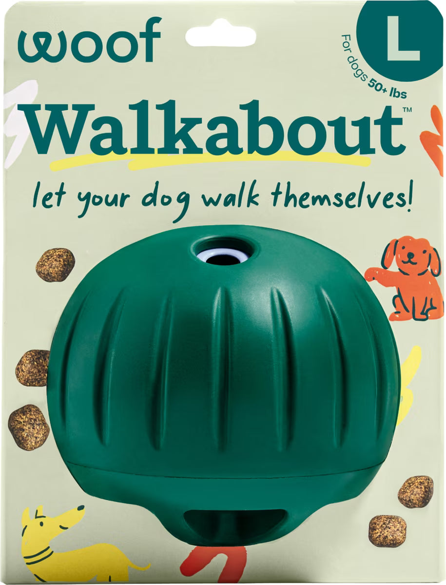 Walkabout Puzzle Toy